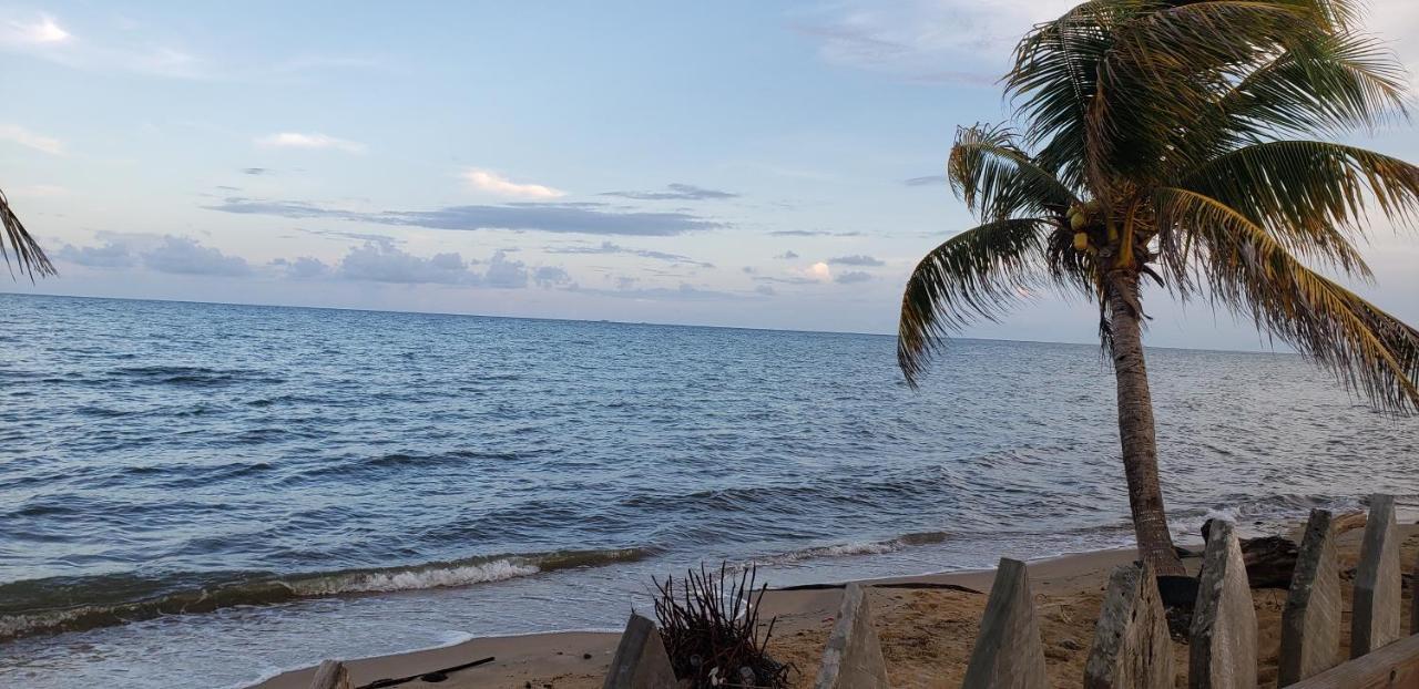 Pal'S On The Beach - Dangriga, Belize Eksteriør billede