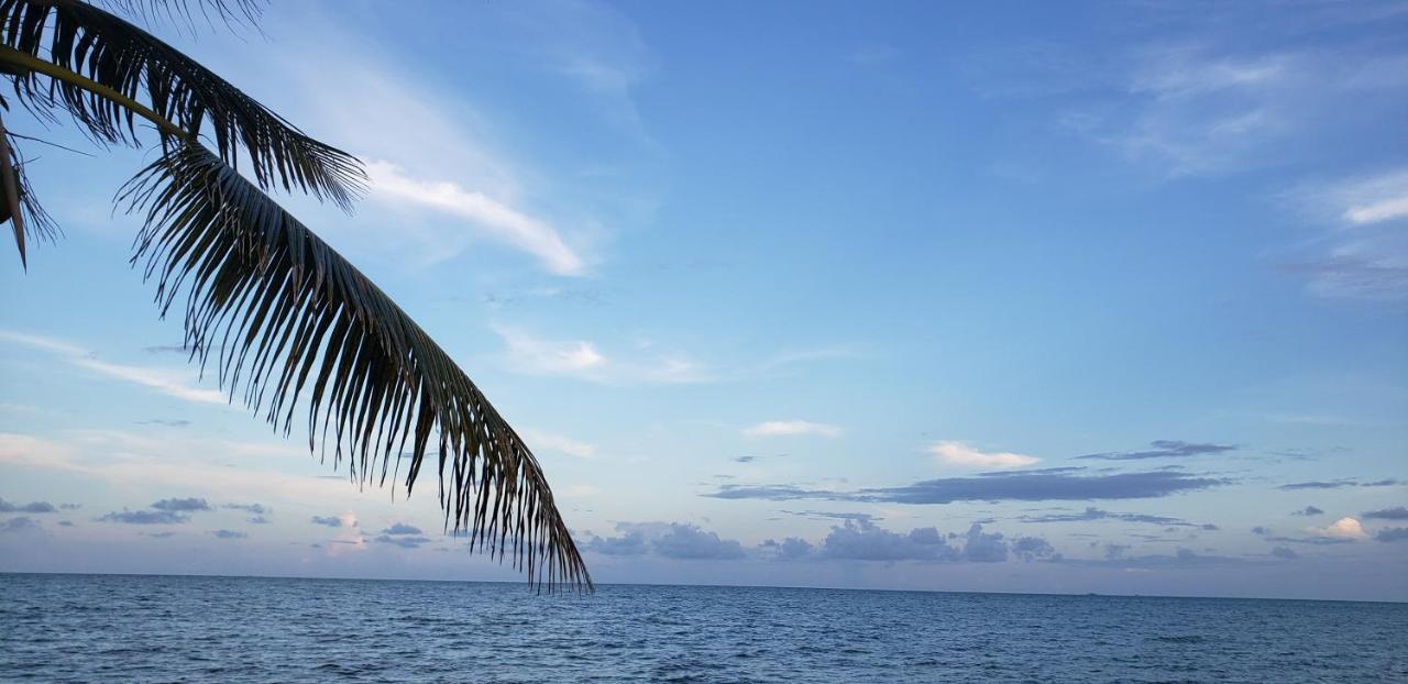 Pal'S On The Beach - Dangriga, Belize Eksteriør billede