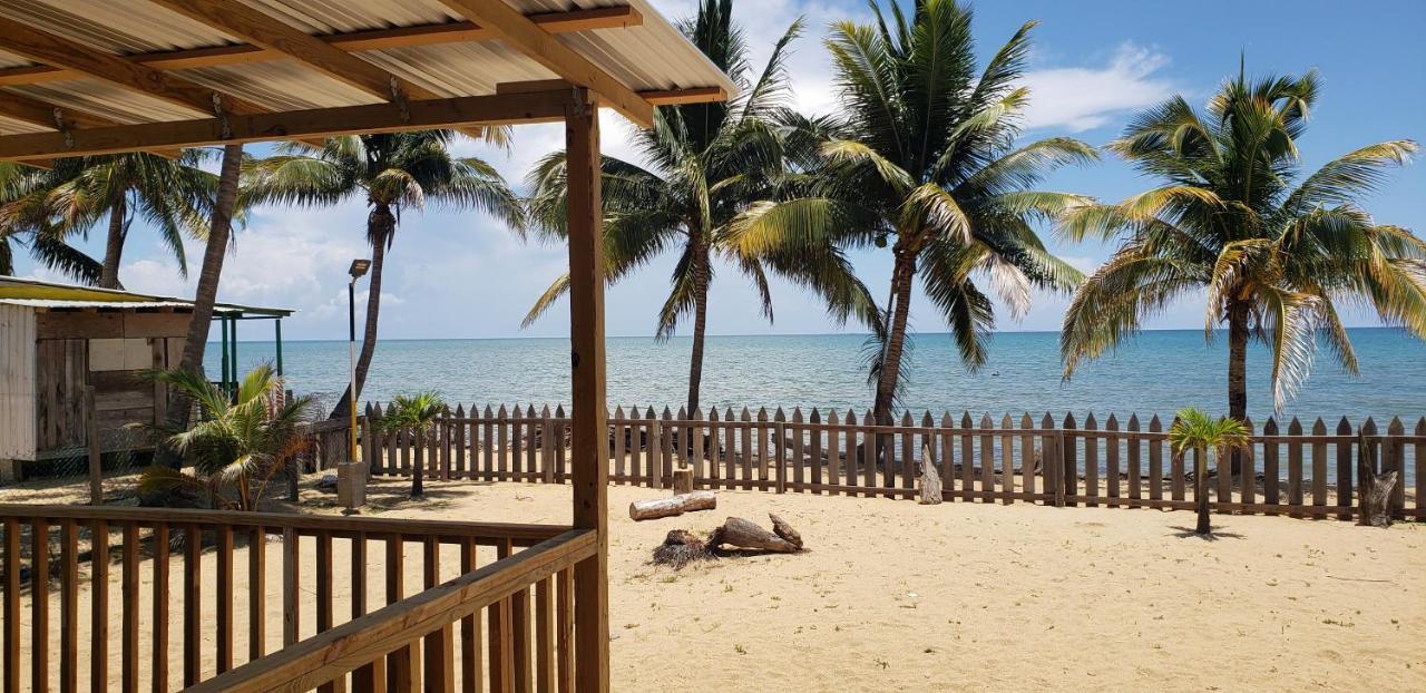 Pal'S On The Beach - Dangriga, Belize Eksteriør billede