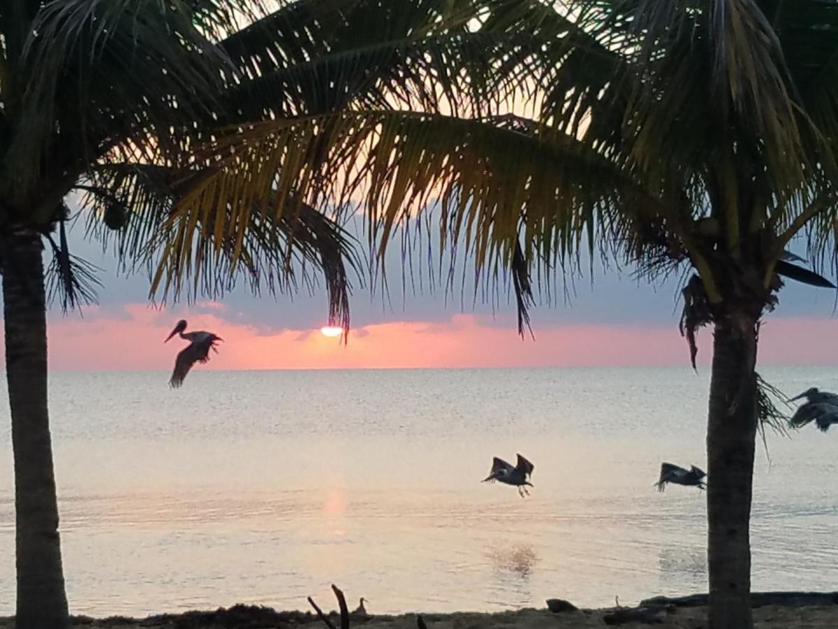 Pal'S On The Beach - Dangriga, Belize Eksteriør billede