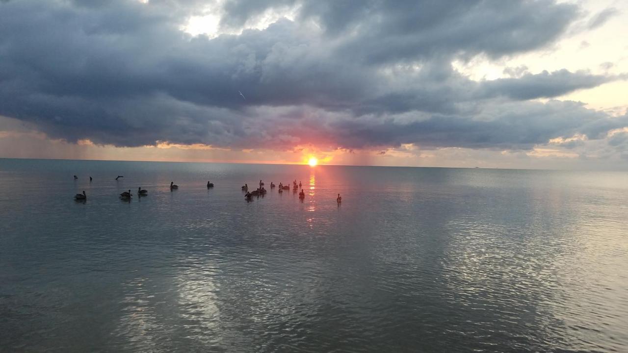 Pal'S On The Beach - Dangriga, Belize Eksteriør billede