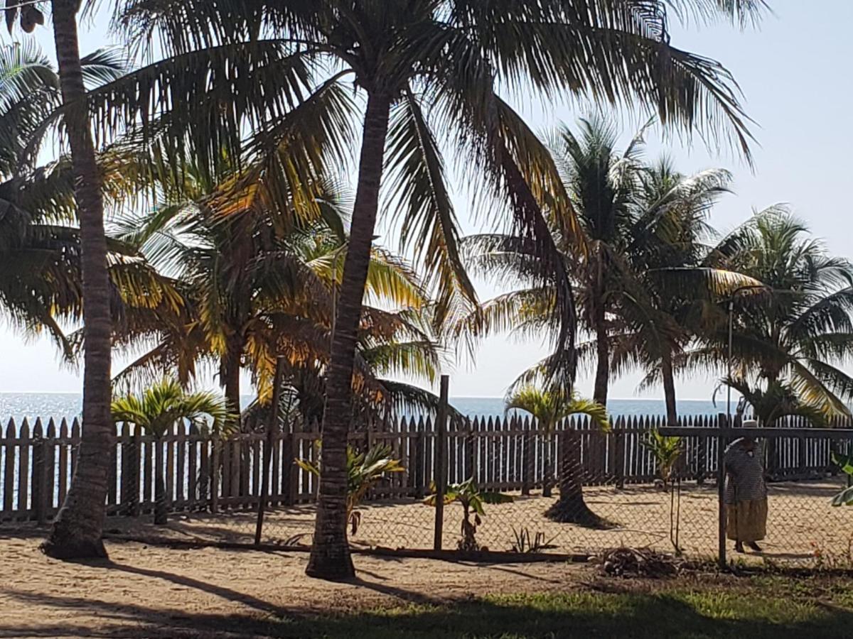 Pal'S On The Beach - Dangriga, Belize Eksteriør billede